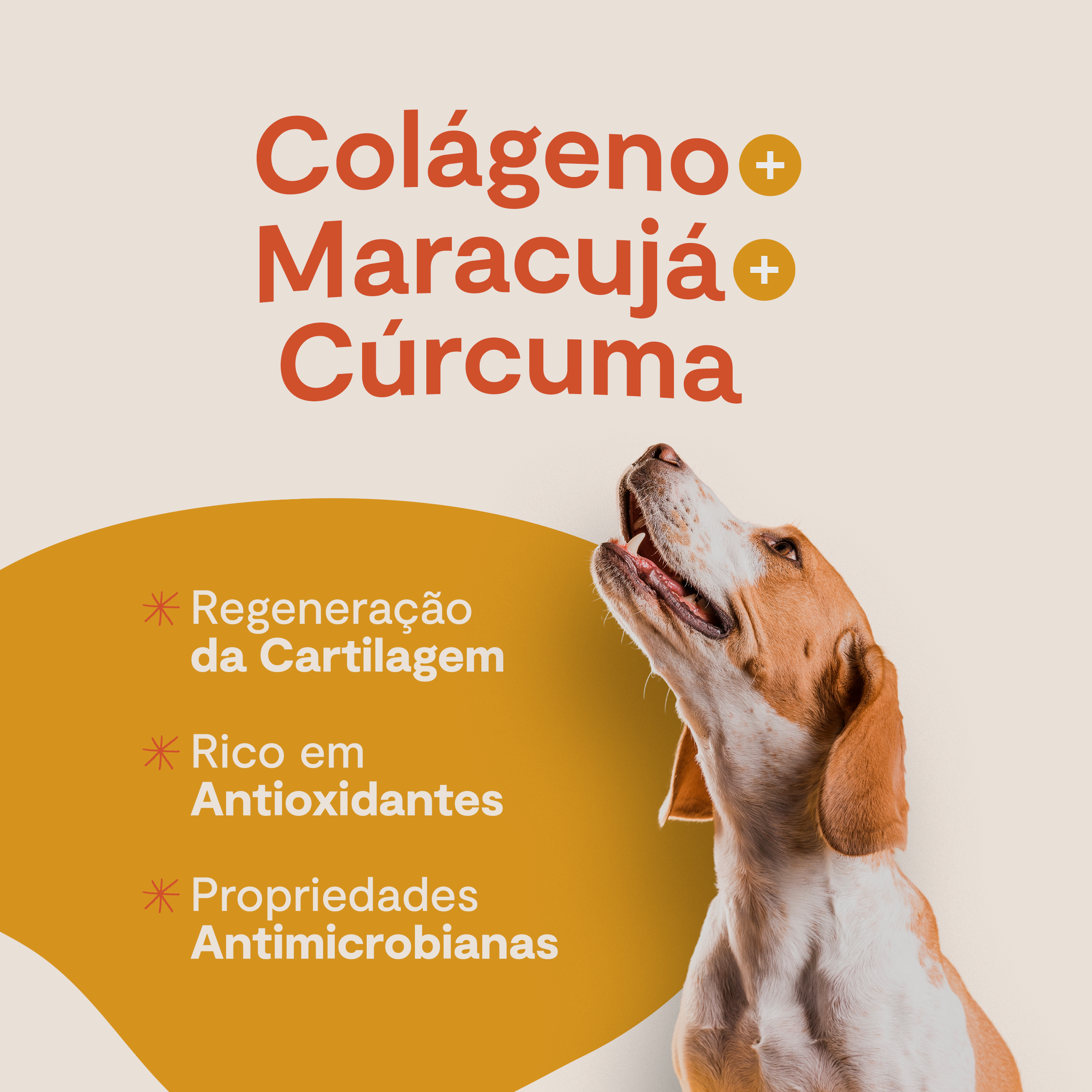 Kit 3 Palitinhos de Colágeno - Maracujá e Cúrcuma