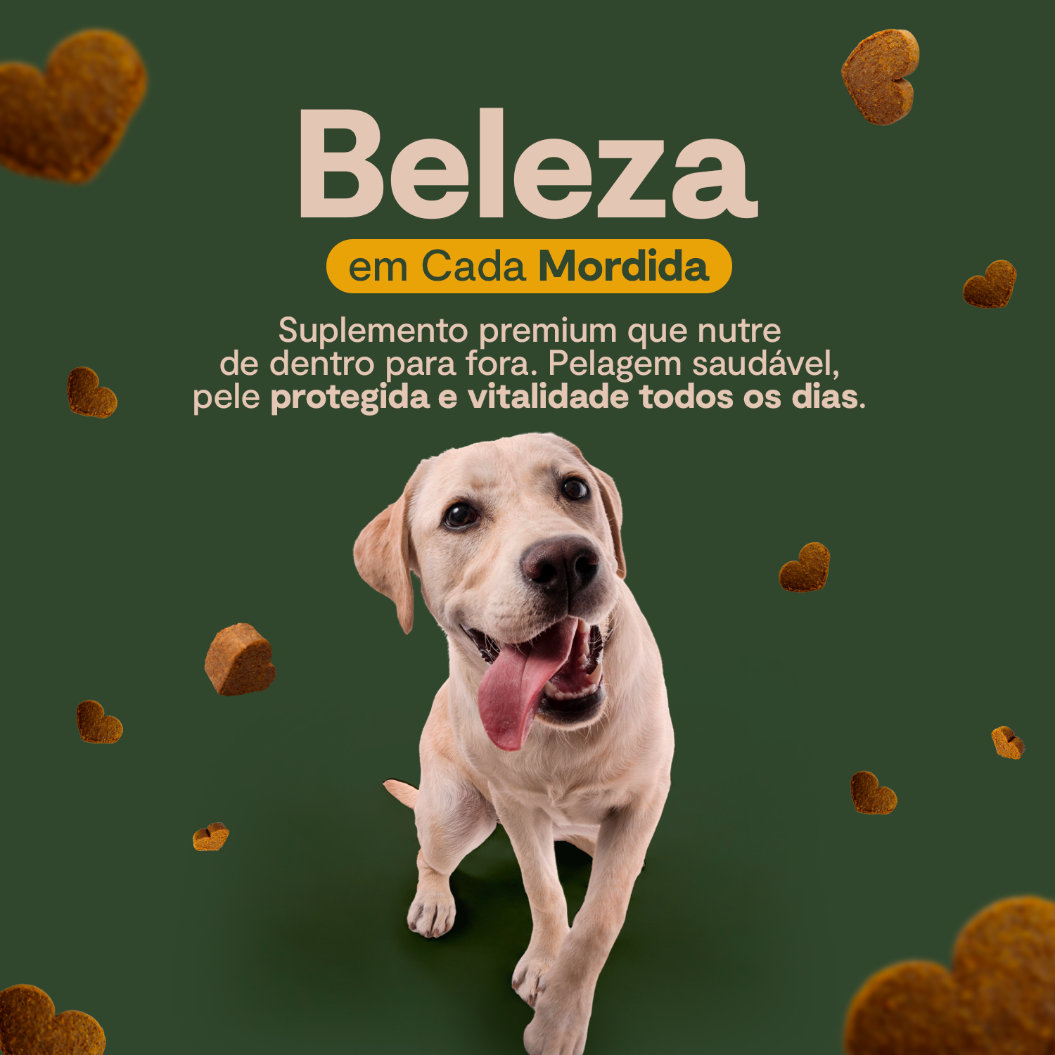 2 Calming Zen + 1 Kera Derma GRÁTIS