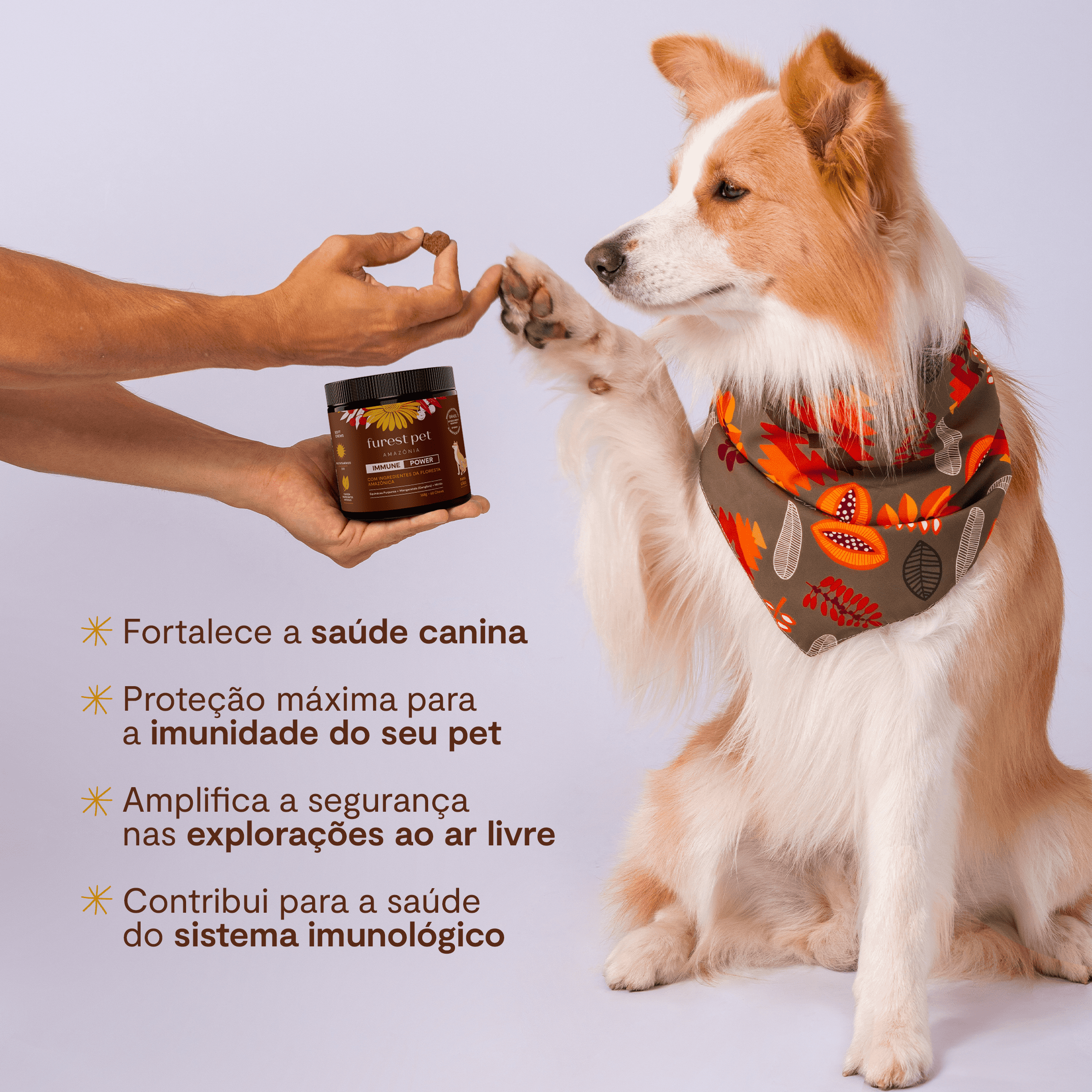 Immune Power - Furest Pet Brasil