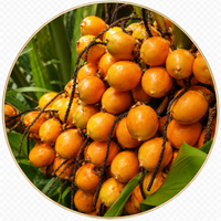 Tukumã