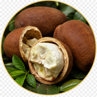 Cupuaçu
