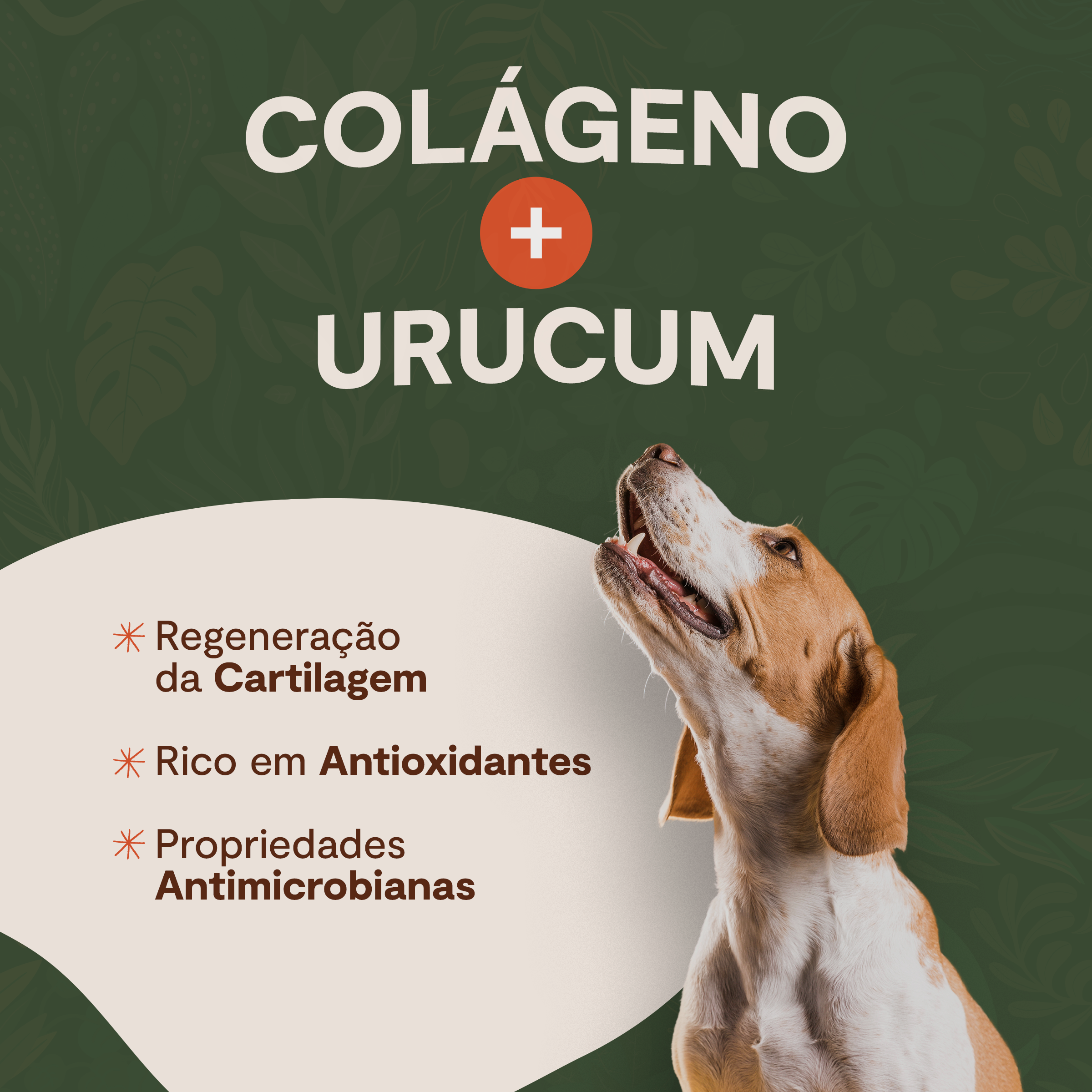 Palitinhos de Colágeno - Urucum