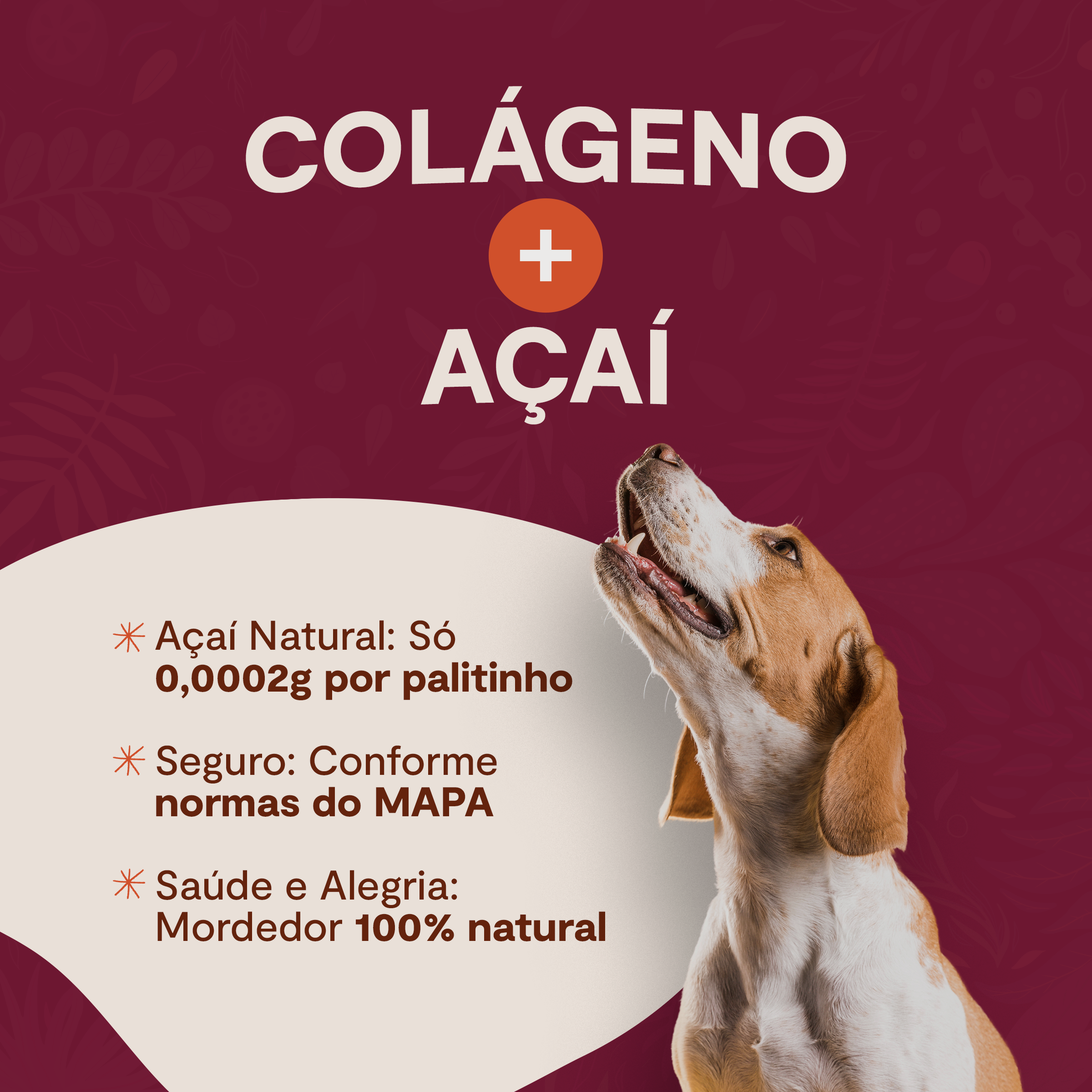 Kit 5 Palitinhos de Colágeno - Açaí