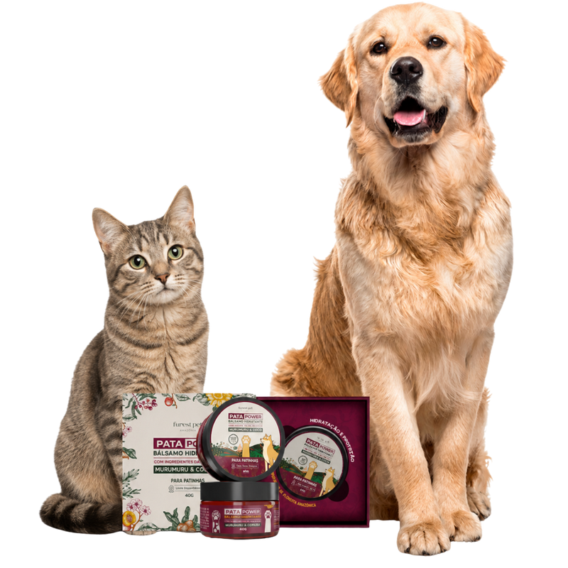 Pet com patas saudáveis