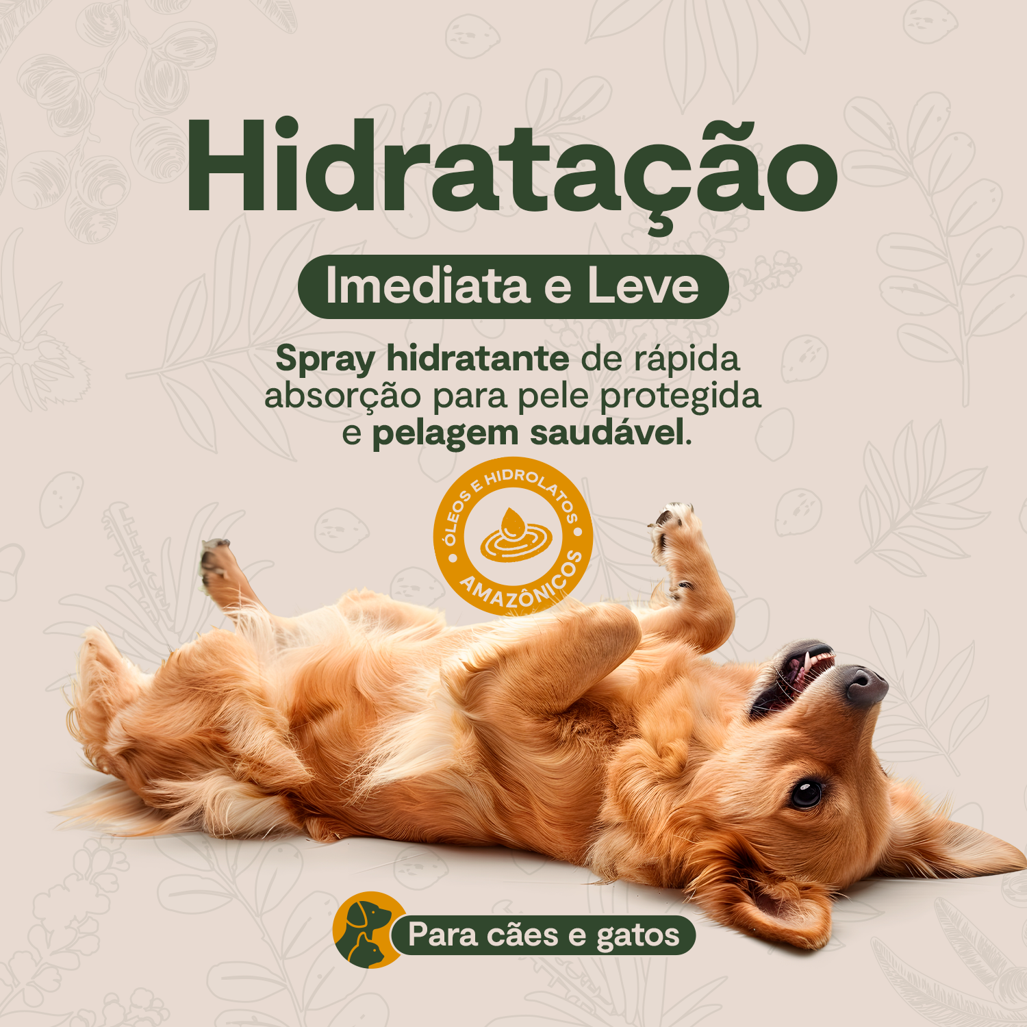 Derma Zen Spray Hidratante - 250 ML