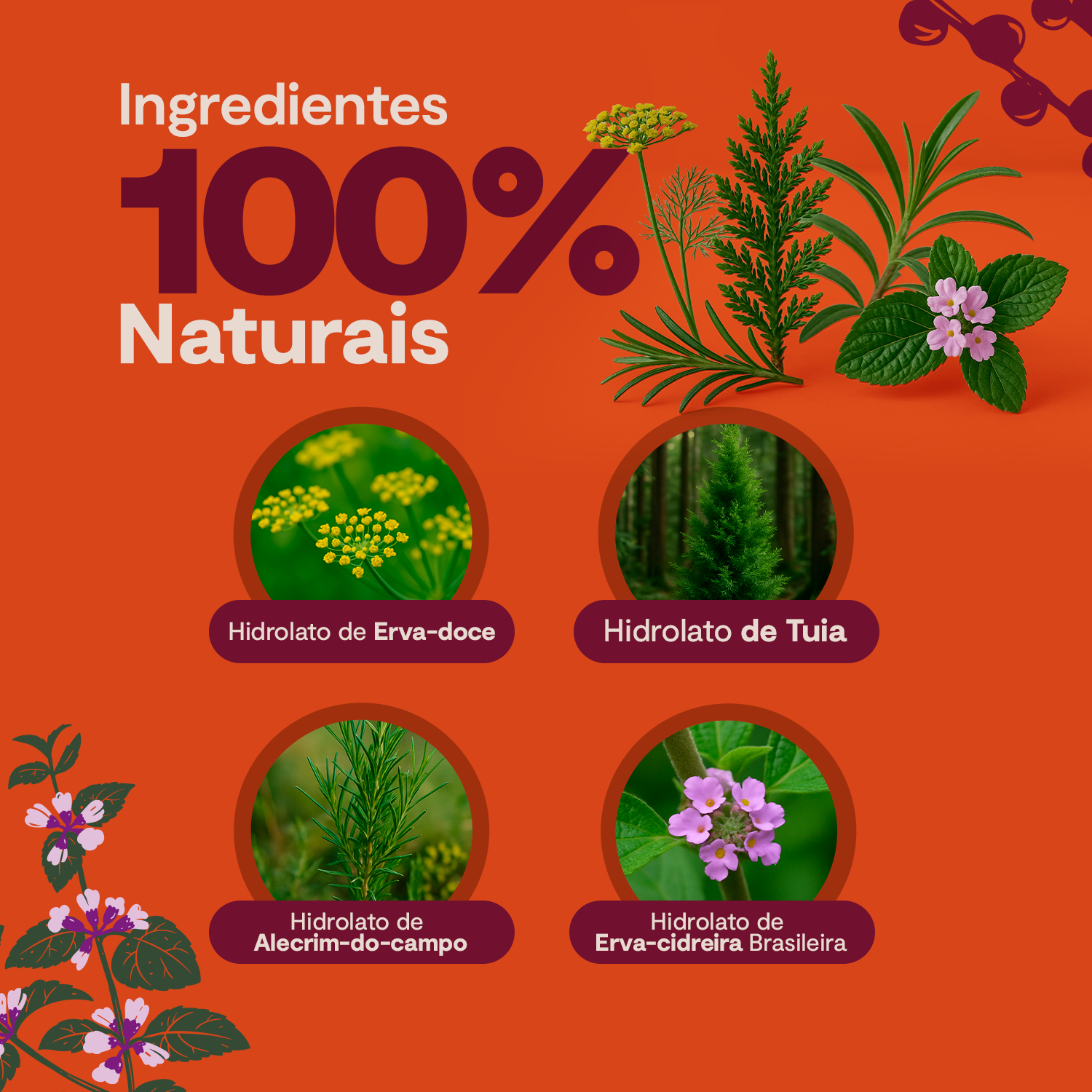 Raiz Protect Para Cães - 120 ML