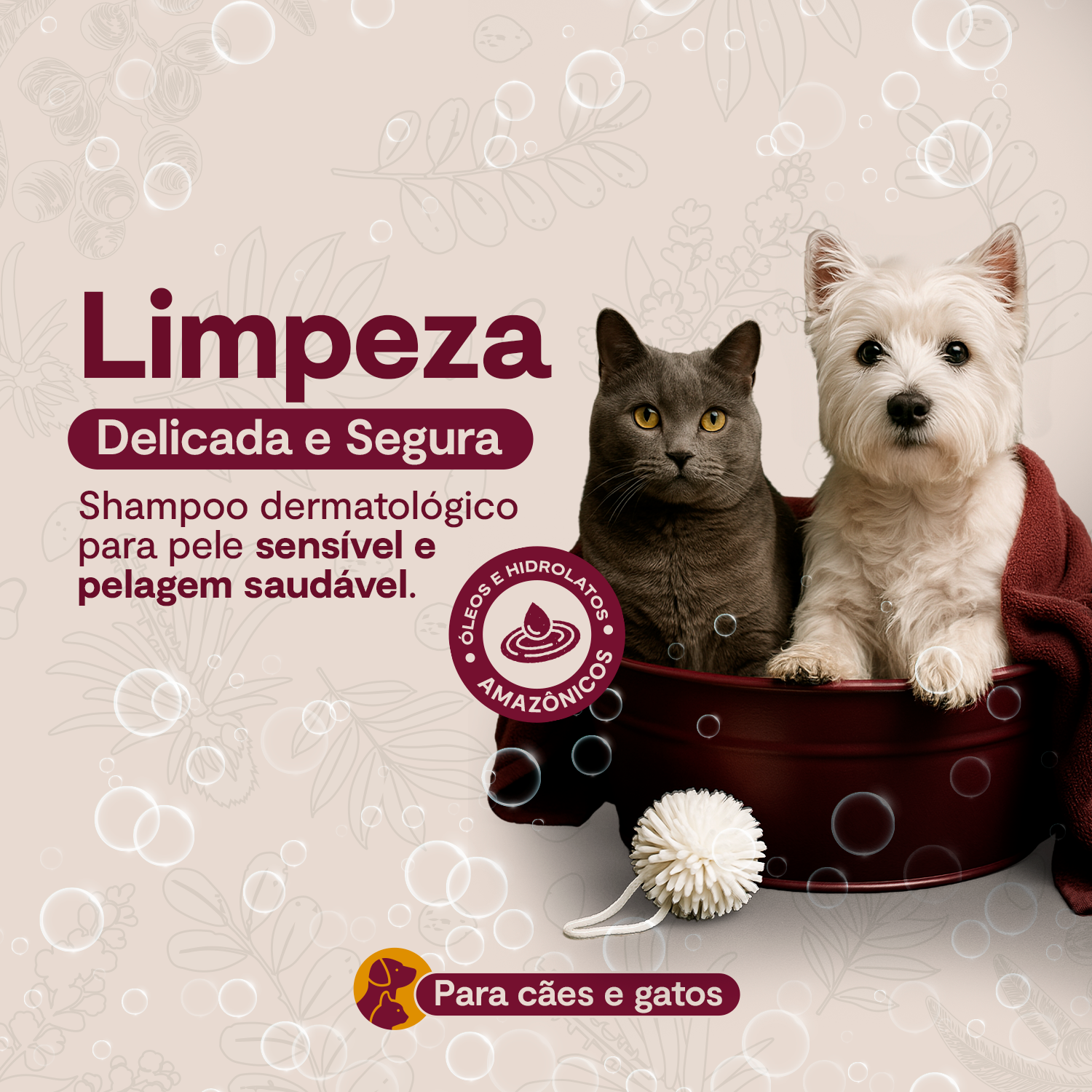 Derma Zen Shampoo - 250 ML