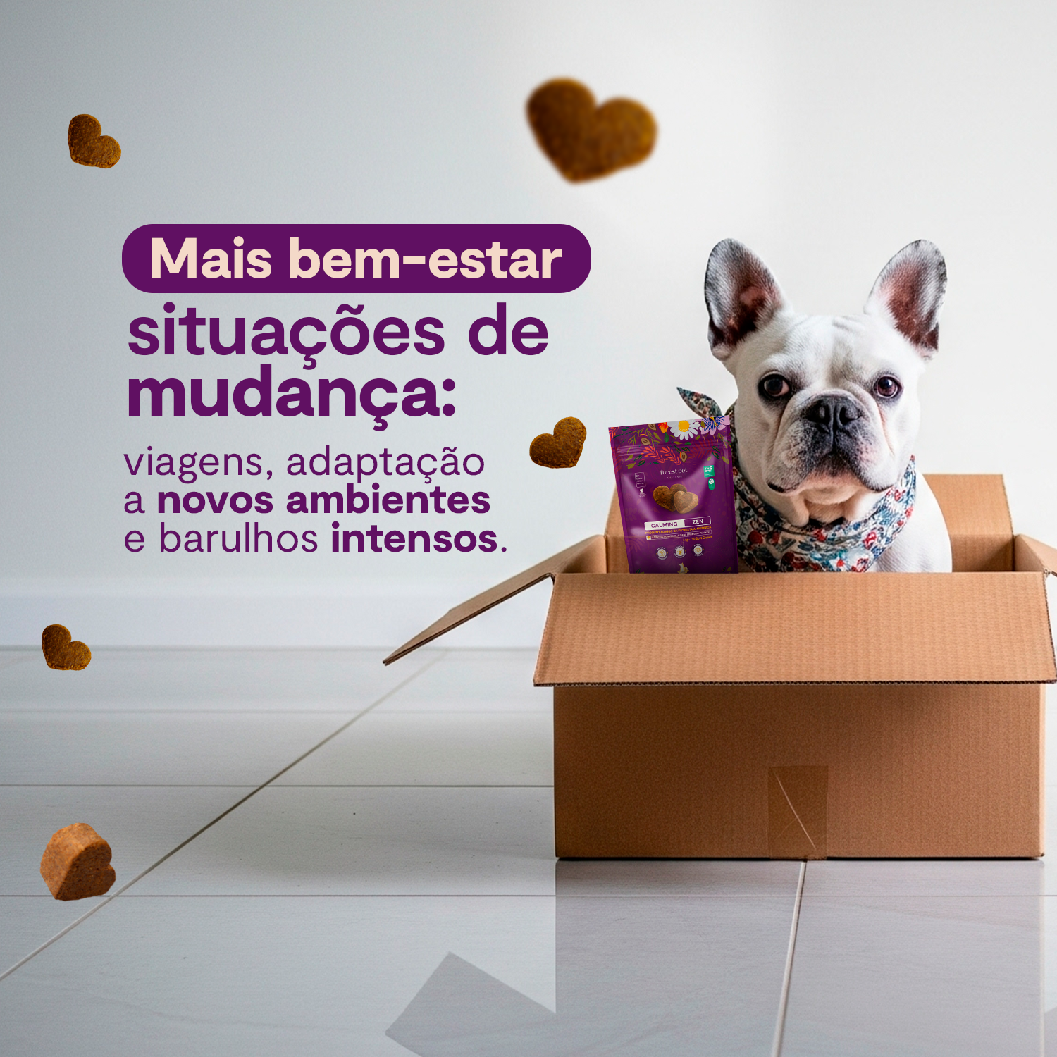 Calming Zen - Compre 2 e leve 3