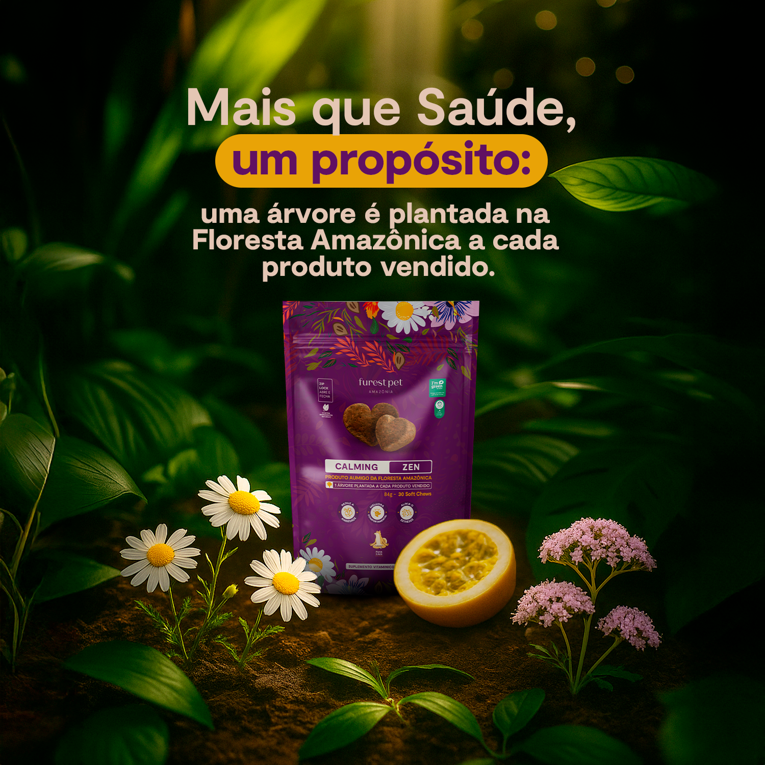 Calming Zen - Compre 2 e leve 3
