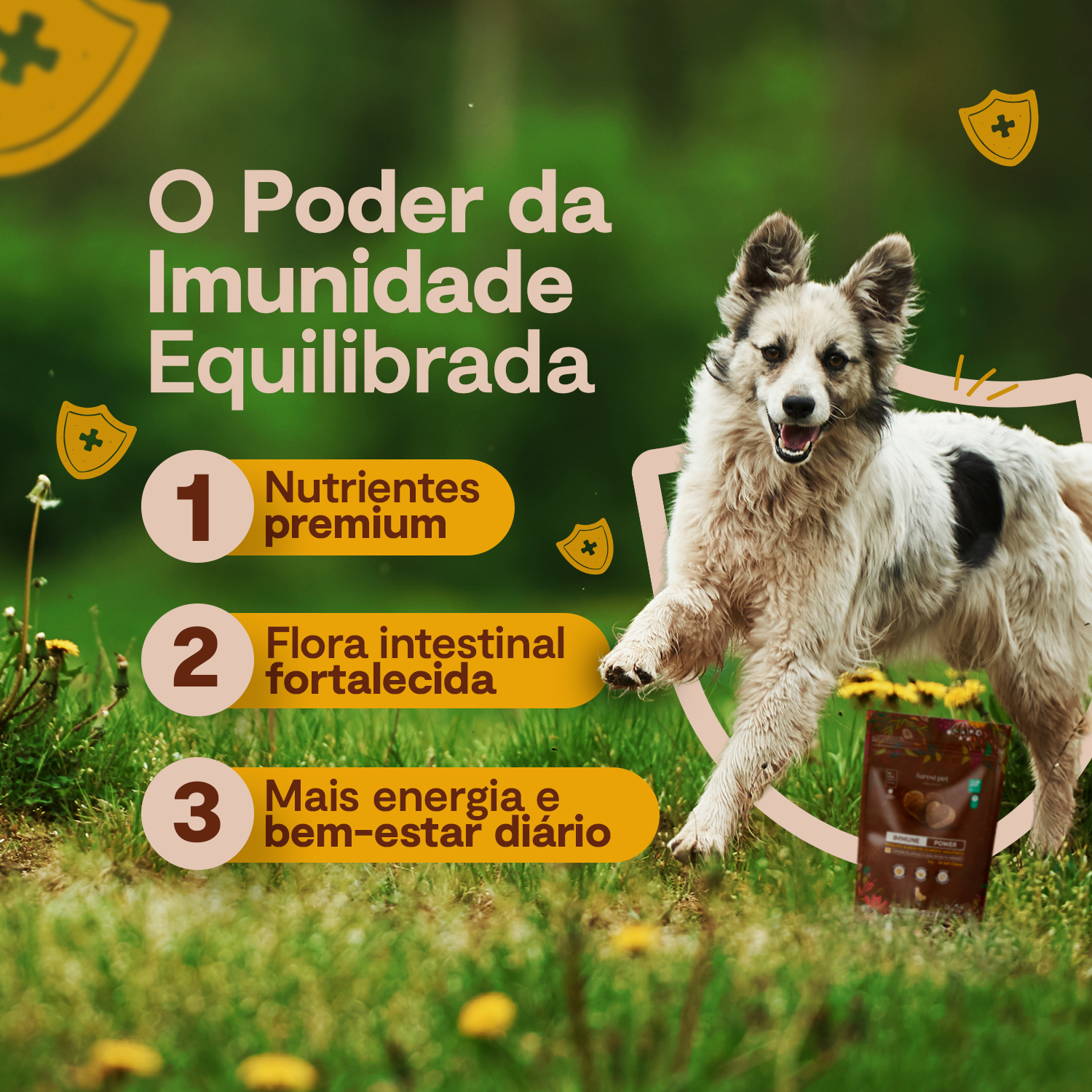 Immune Power - Compre 2 e leve 3