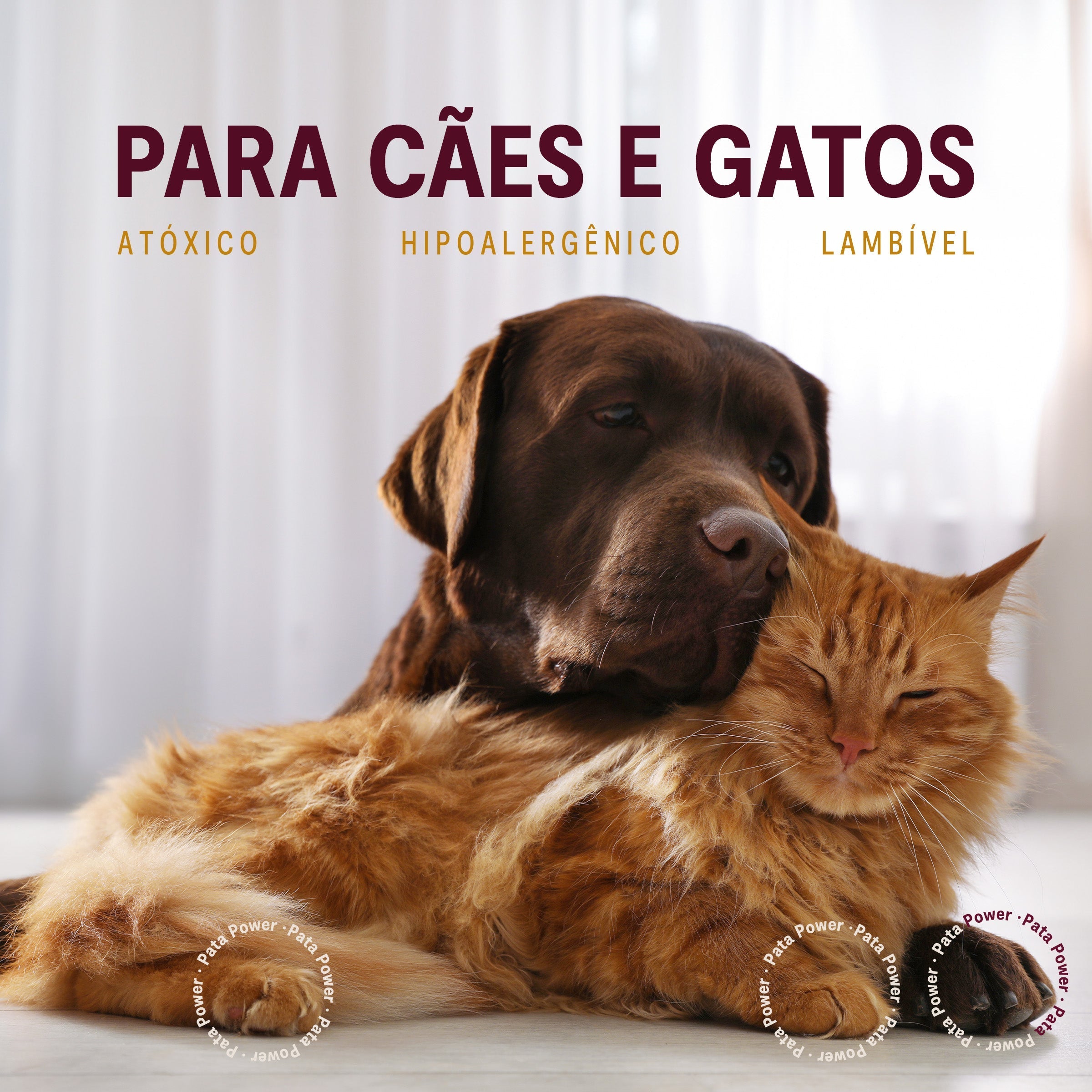 Pata Power - Compre 3 e leve 5 - Hidratante para patas de cachorro