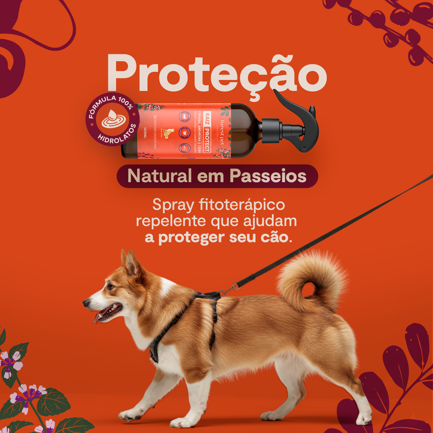Raiz Protect Para Cães - 120 ML