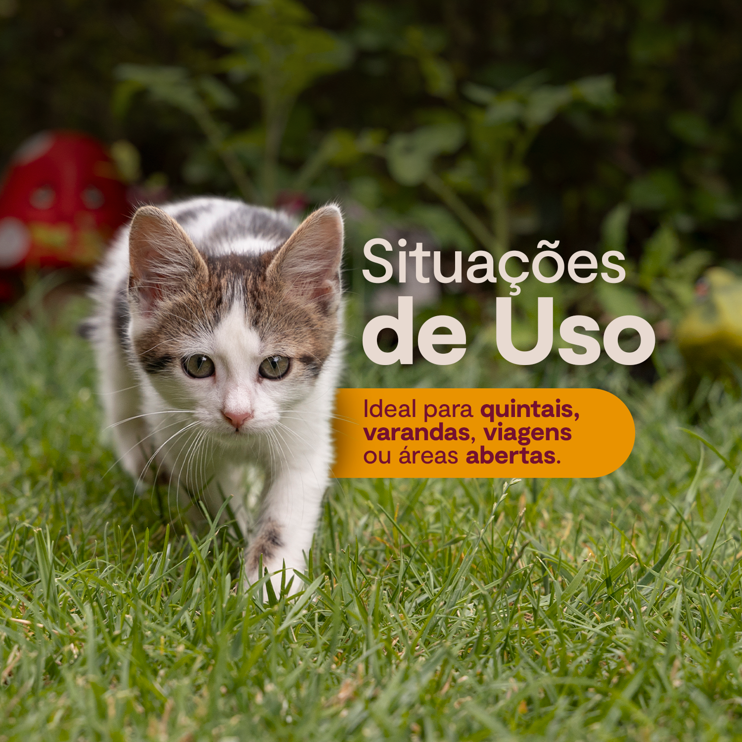 Raiz Protect Para Gatos - 120 ML