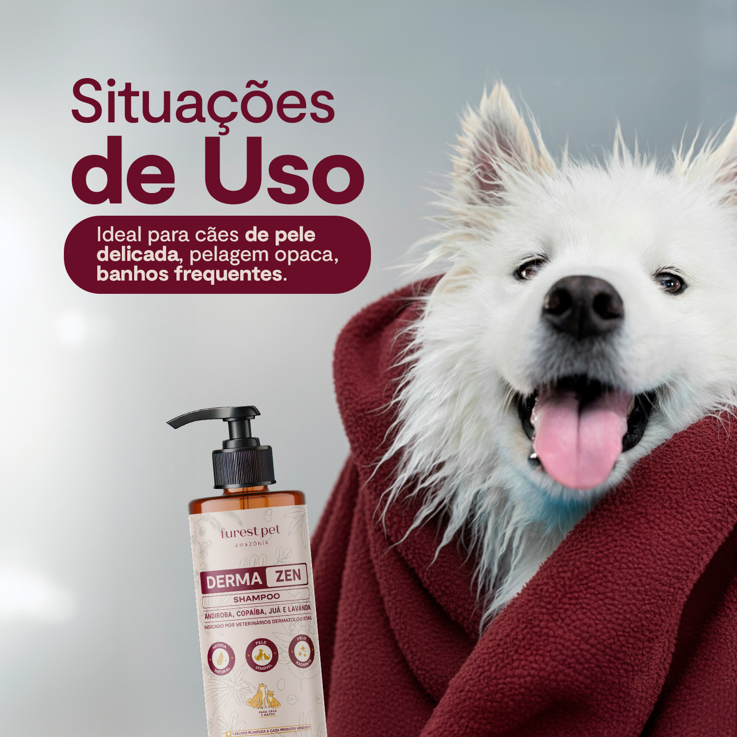 Derma Zen Shampoo - 250 ML