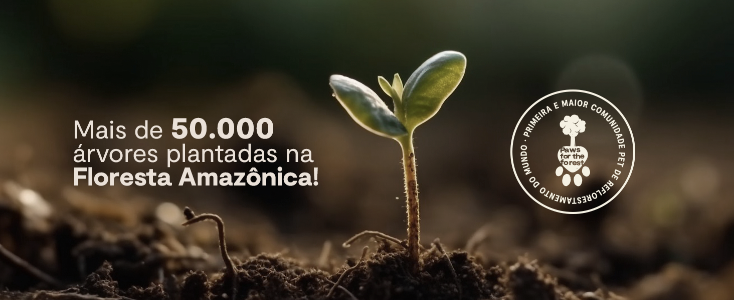 Floresta Amazônica — Paws For The Forest