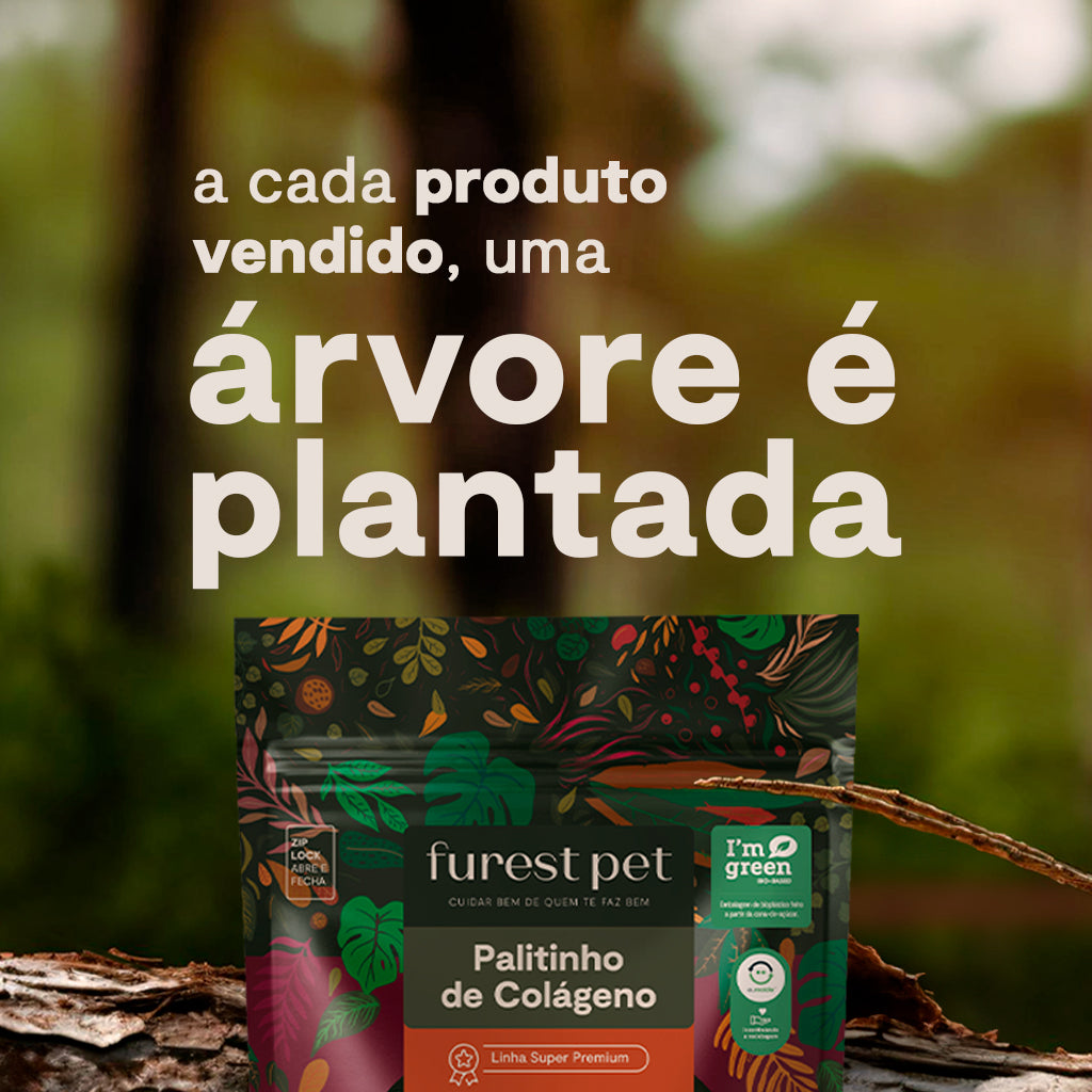 Kit Palitinhos de Colágeno da Amazônia