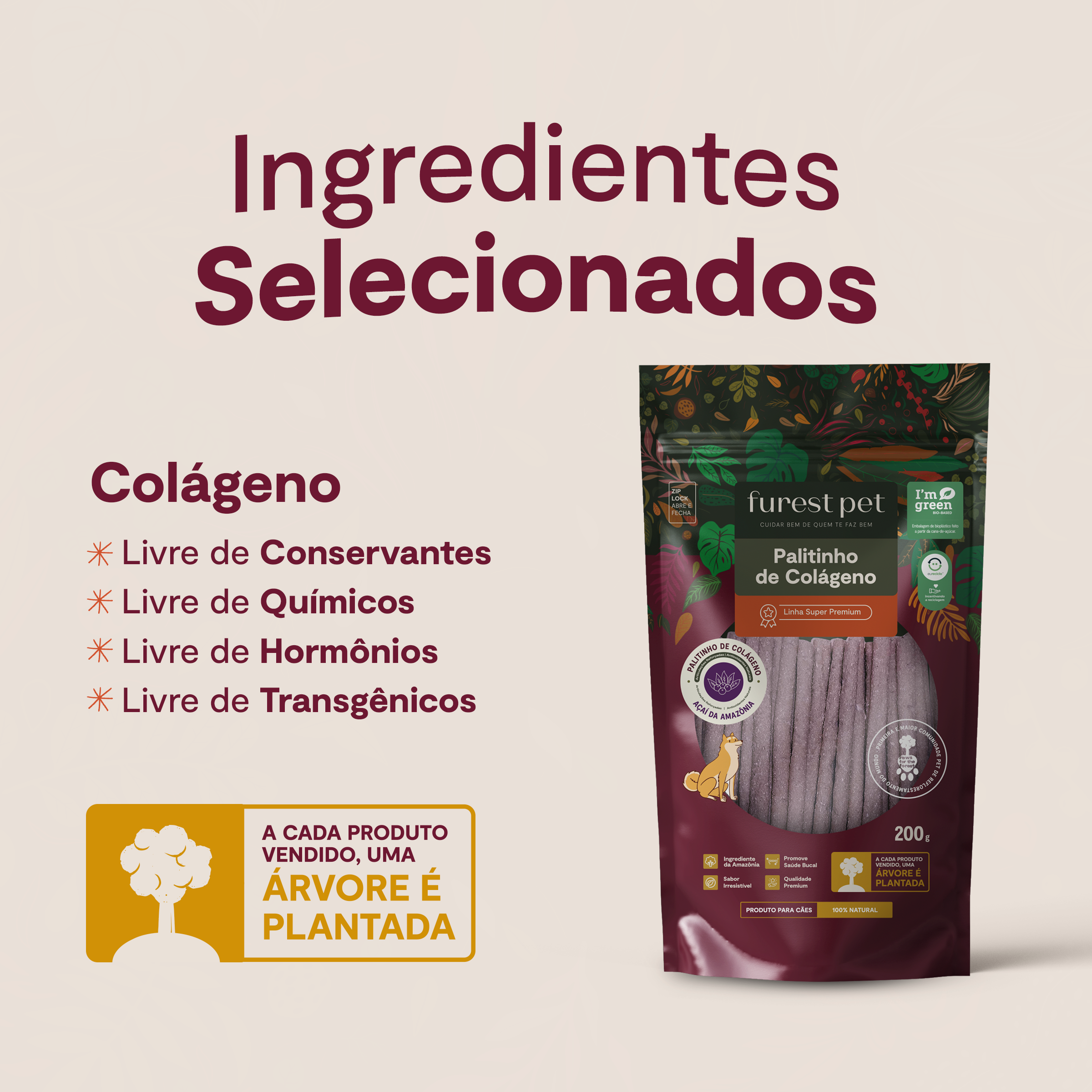 Kit 5 Palitinhos de Colágeno - Açaí